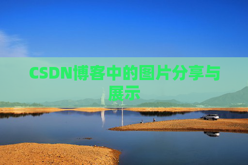 CSDN博客中的图片分享与展示